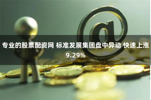 专业的股票配资网 标准发展集团盘中异动 快速上涨9.29%