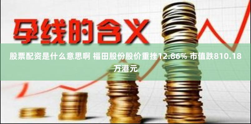 股票配资是什么意思啊 福田股份股价重挫12.86% 市值跌810.18万港元