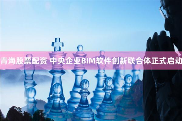 青海股票配资 中央企业BIM软件创新联合体正式启动